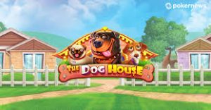 The Dog House