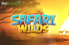 Wild Safari
